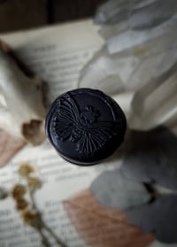 Image 3 of Snake Bone Curiosity Bottle