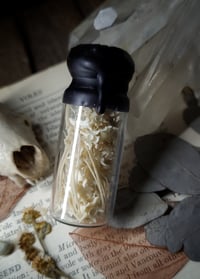 Image 4 of Snake Bone Curiosity Bottle