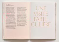 Image 5 of GRAND PALAIS 2025 - CHATILLON ARCHITECTES