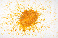 Isolated Splattered Vomit (which is really vegetable soup!).  High resolution digital download