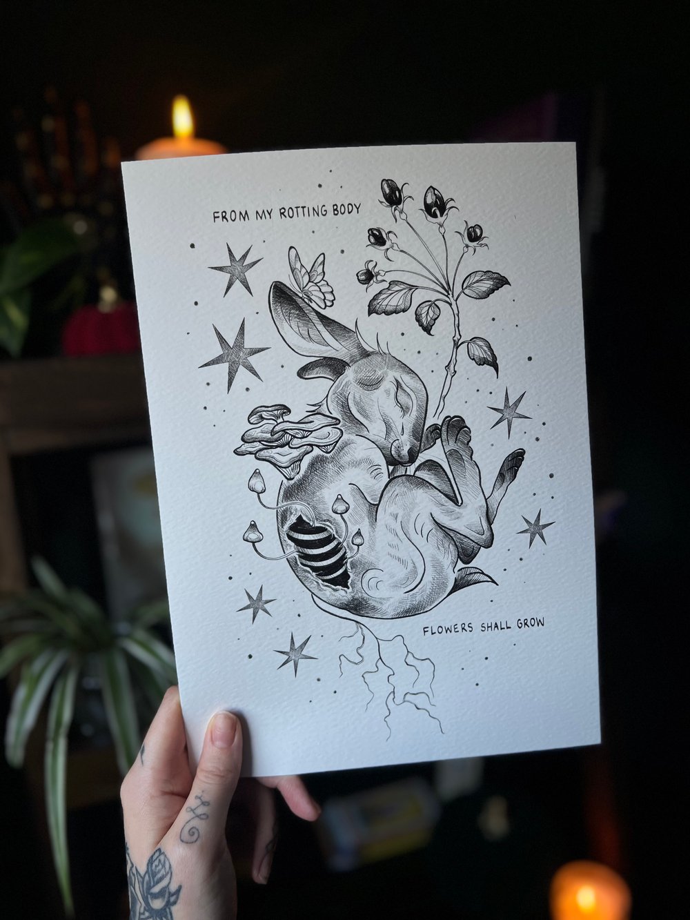 Image of Bunny print 