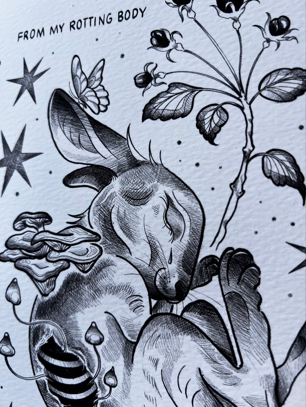 Image of Bunny print 