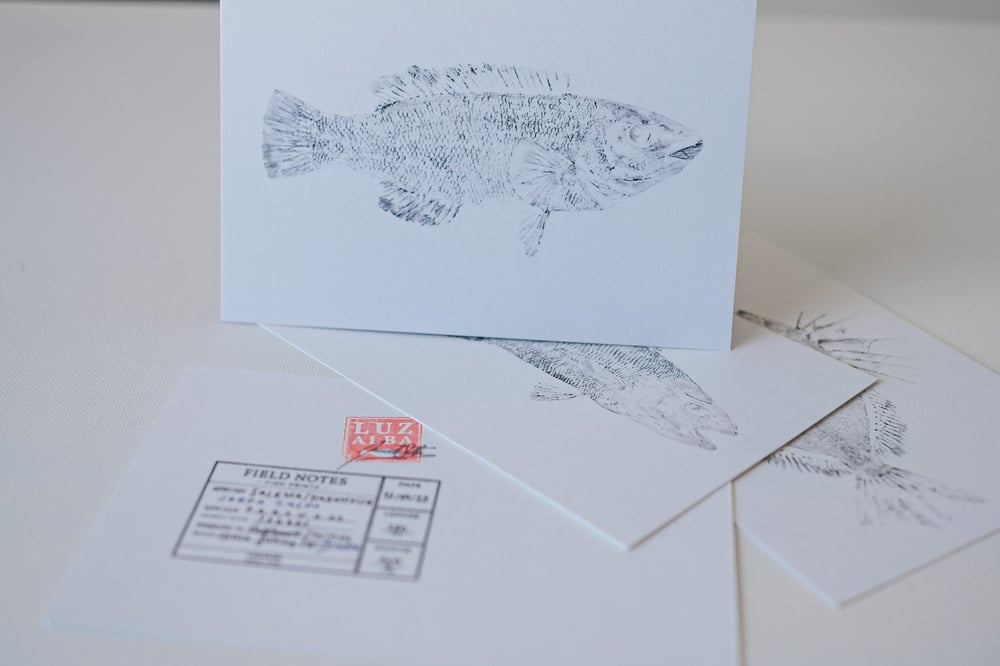 Image of TIN CAN FISH 