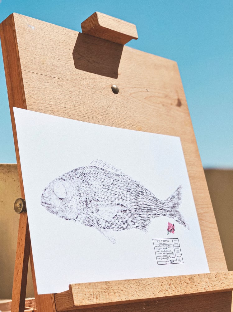 Image of Paper Fish *A4