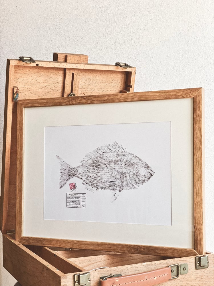 Image of Paper Fish *A4