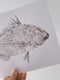 Image of Paper Fish *A4