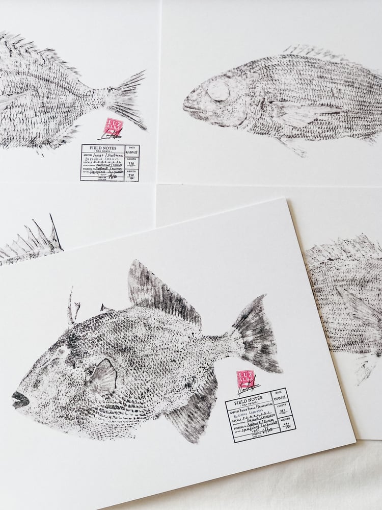 Image of Paper Fish *A4