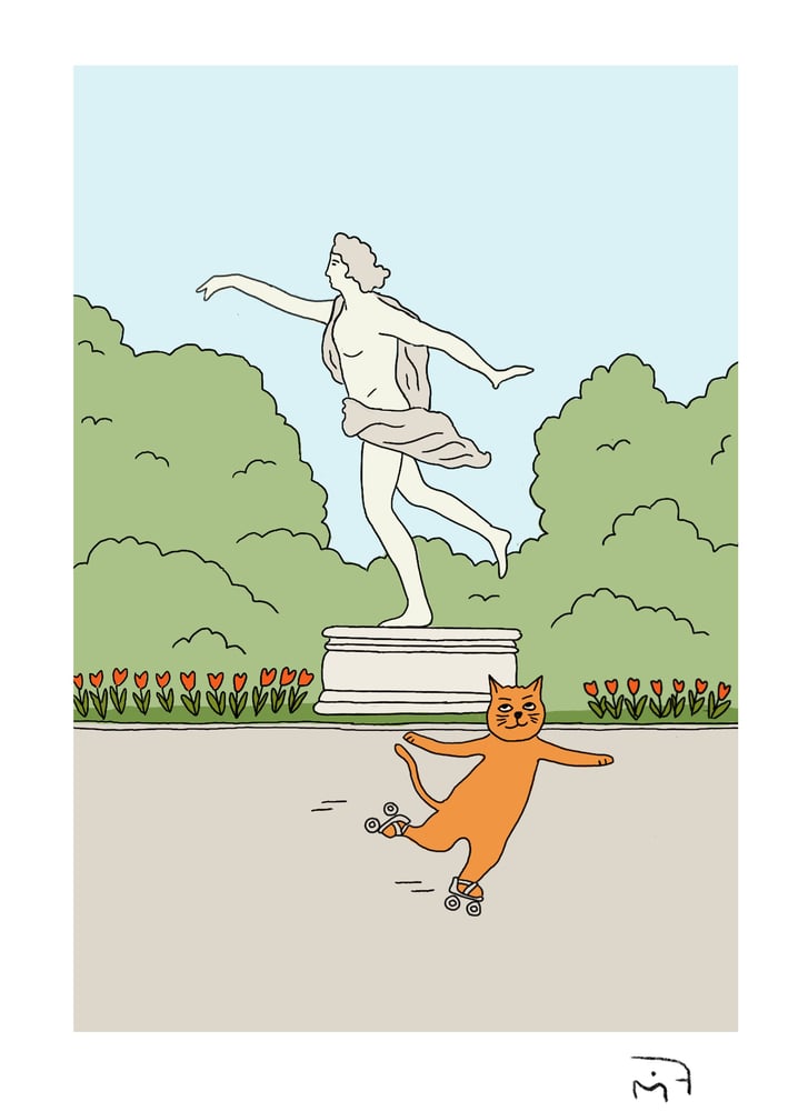 Image of Chat patins