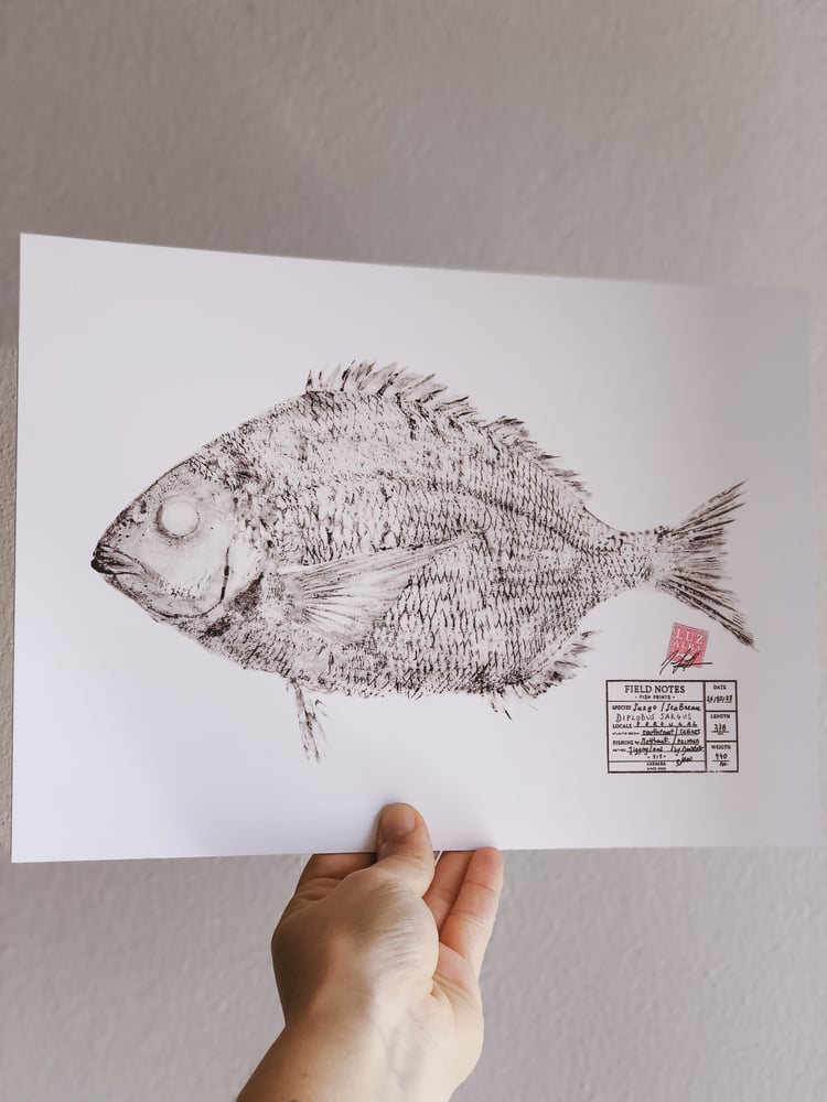 Image of Paper Fish *A4