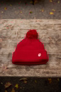 Image 1 of 'The Vagn' Squirrel Captain Beanie