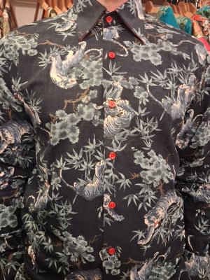 Image of Blue tigers 