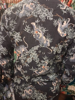 Image of Blue tigers 