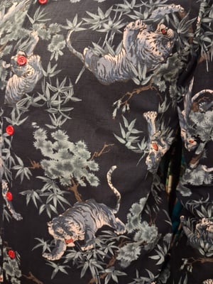 Image of Blue tigers 