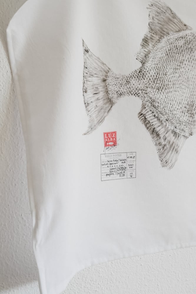 Image of Peixe-porco | Triggerfish*25