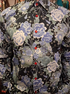 Image of Circle cranes 