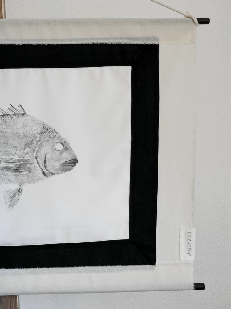 Image of Sargo *L. | Seabream