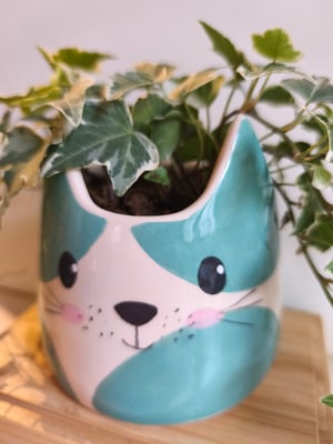 Image of Pot chat bleu