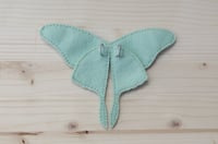 Image 2 of Luna Moth Wings