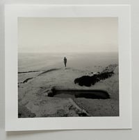 Image 2 of Quest of the Refuge