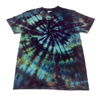 Image 1 of EARTH SPIRAL