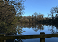 Image 2 of STAY / WRITE / EXPLORE with Matt Shaw (Writer Retreats and vacation stays) **DEPOSIT ONLY**