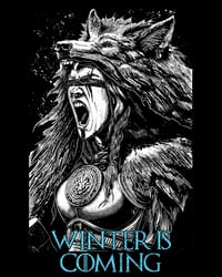 Image 2 of [COLLECTOR] T shirt - Winter Is Coming