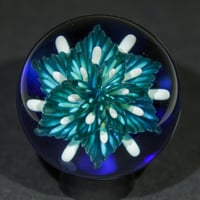 Image 1 of Iridescent Lotus