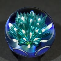 Image 9 of Iridescent Lotus