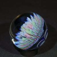 Image 3 of Astral Flora