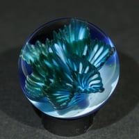 Image 2 of Arctic Starburst