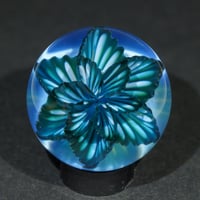 Image 1 of Arctic Starburst