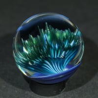 Image 3 of Arctic Starburst