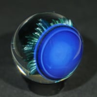 Image 5 of Arctic Starburst