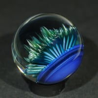 Image 4 of Arctic Starburst