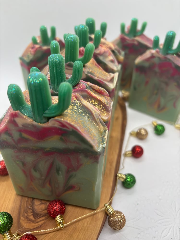 Image of Christmas Cactus