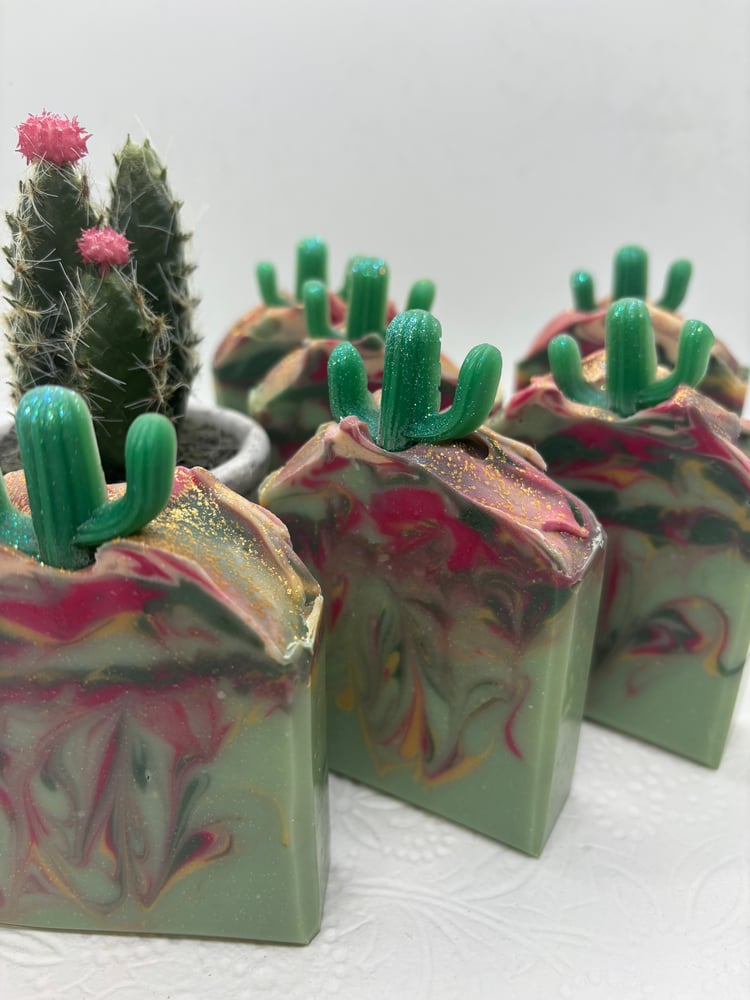 Image of Christmas Cactus