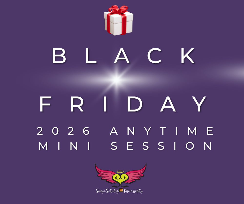 Image of 2026 Anytime Mini Session!