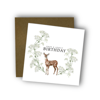 Image 1 of Doe Birthday Card