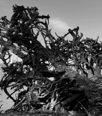 Tungu & Tabata 'Paranormal Awakening' CD  PRE-ORDER