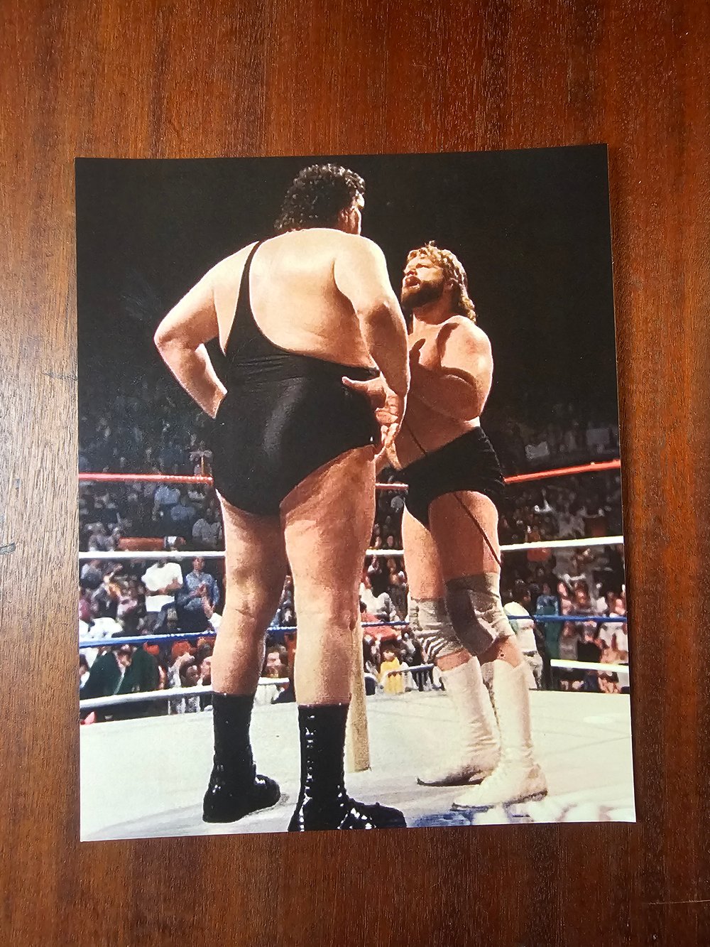 Image of Hacksaw Jim Duggan vs. Andre the Giant SIGNED 8x10