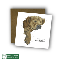 Image 2 of Sleeping Retriever Card