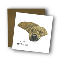 Image 1 of Sleeping Retriever Card 2