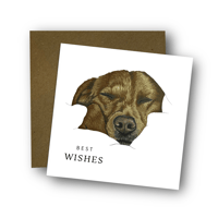 Image 1 of Sleeping Labrador Card