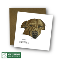 Image 2 of Sleeping Labrador Card