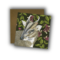 Image 1 of Muntjac and Honeysuckle Card
