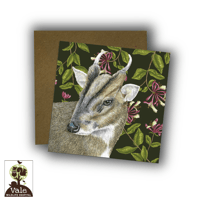 Image 2 of Muntjac and Honeysuckle Card