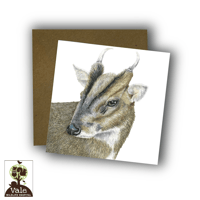 Image 2 of Muntjac Card