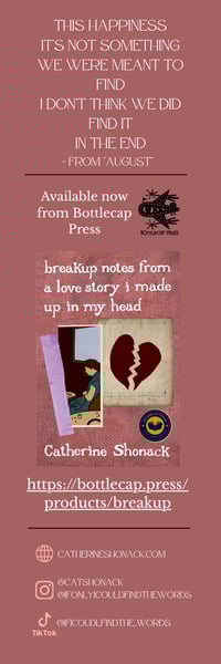 Image 4 of breakup notes from a love story i made up in my head