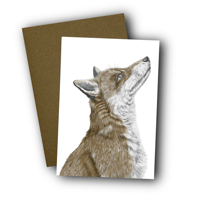 Image 1 of Fox Card