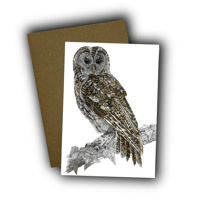 Image 1 of Tawny Owl Card